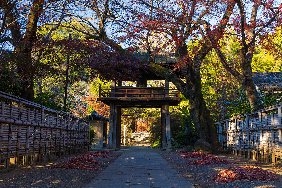 中院の紅葉