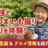 【体験レポ】川越・荒幡農園でさつまいも掘り｜子連れで楽しむ秋の味覚＆芋スイーツ巡り