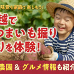 【体験レポ】川越・荒幡農園でさつまいも掘り｜子連れで楽しむ秋の味覚＆芋スイーツ巡り